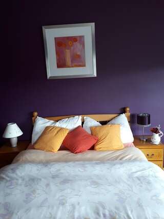 Отели типа «постель и завтрак» Tullaleagan Guesthouse Утерард Двухместный номер Делюкс с 1 кроватью-2