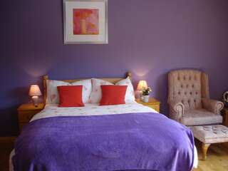 Отели типа «постель и завтрак» Tullaleagan Guesthouse Утерард Двухместный номер Делюкс с 1 кроватью-3